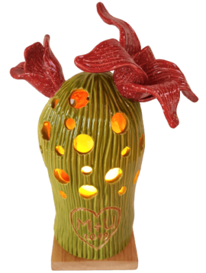 Exklusive Kaktuslampe mit Inschrift