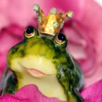 Made by you Frosch